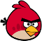 angry bird